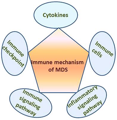 Frontiers | The Yin-yang Of Immunity: Immune Dysregulation In ...